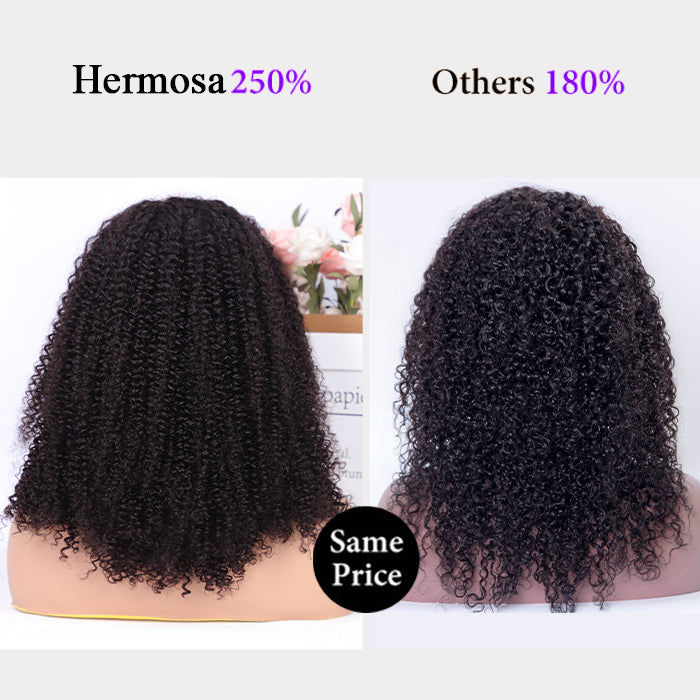 250% Density Popping Curly HD Lace Front Wigs Pre bleached Glueless Ready To Go Human Hair Wigs